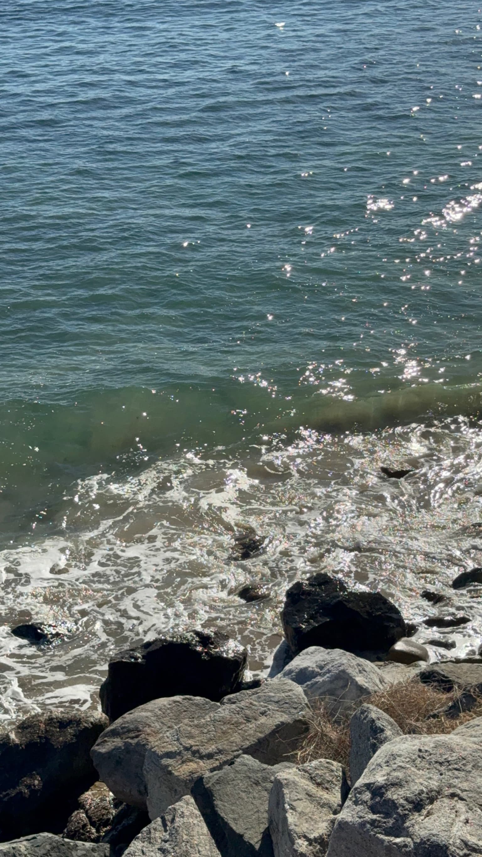 LoTime film sample photo 3 - vintage iPhone photography